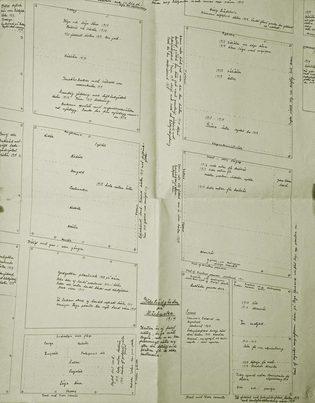 Naima Smitts karta över delar av köksträdgården 1914, med anteckningar om grödor även