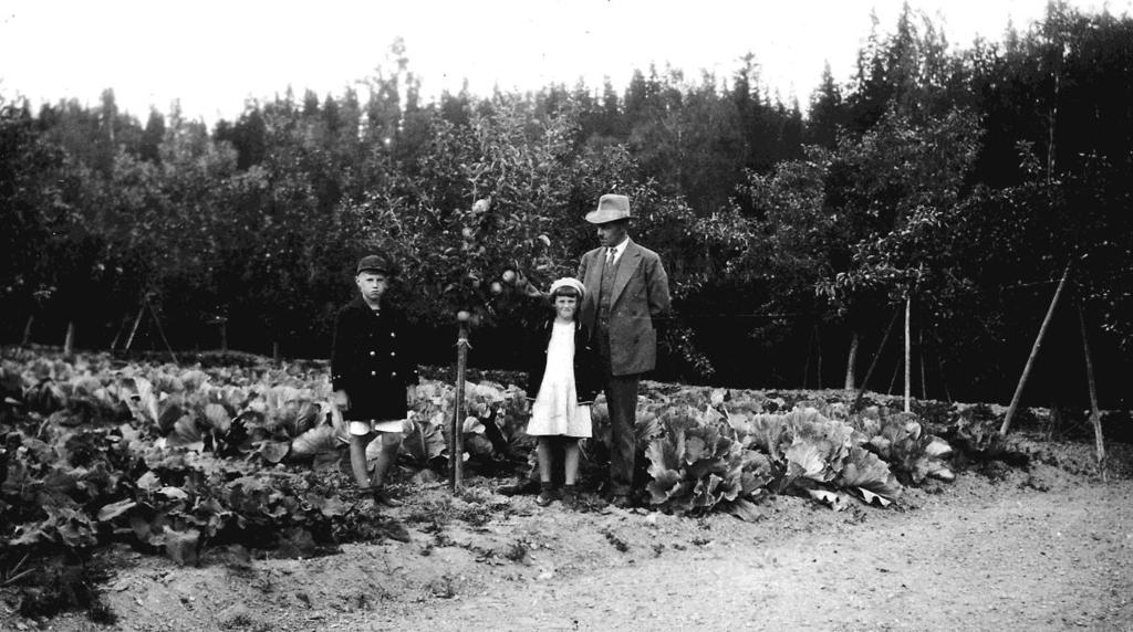 ha rivit drängstugan på samma plats. Huset, som byggts i samma stil som drängstugan, blev nu den nya affären och bostad.