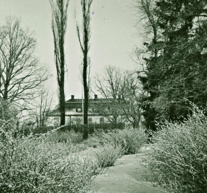 syntes inte heller ut till gräsmattan (gräsplanen). 59 Kajlands minnen stämmer med den typ av uthuggningar som Selma Lagerlöf beskrev från sin barndom.
