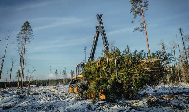 Utbudet är brett: alla PONSSEs skördaraggregat i olika storlekar kan användas för flerträdshantering, antingen som de är eller med enklare tillvalsutrustning.