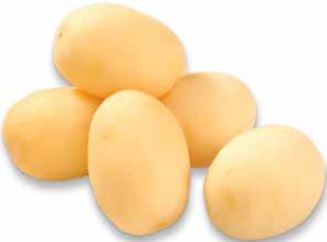 Art nr: 79000 Kulpotatis Storlek: Ca 30 mm 9,2 kg   antioxidationsmedel (askorbinsyra).