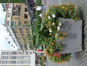 Möbler Planteringskärl Blomsterurnor och planteringskärl används som dekoration med blomsterut smyckningar. De används också i vissa fall som trafikhinder.