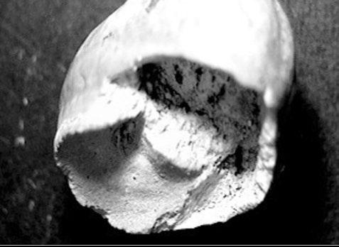 Jämförelse av den anatomiska fördelningen och fördelningen av benslag mellan Skeke och Björkgärdet Av Petra Molnar Tabell 1. Antal fragment och vikt fördelat anatomiskt. Figur 1.