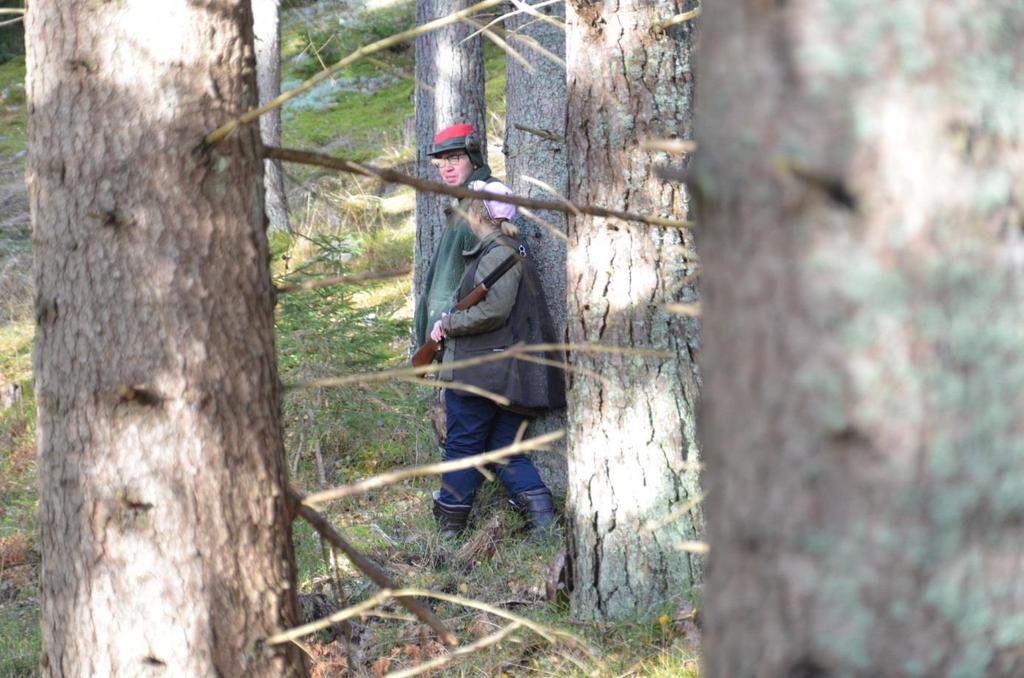 Efter lunch iväg till den andra såten som ligger i den södra delen av Gålös marker. Utsättningen fungerade perfekt även denna gång, så det är bara att släppa hundarna.