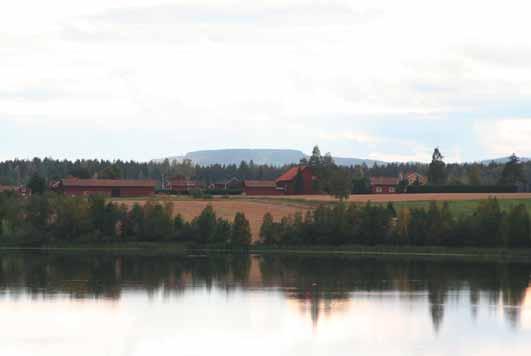 Spännar Handledare:Faruk Djodjic SLU Falun 2008