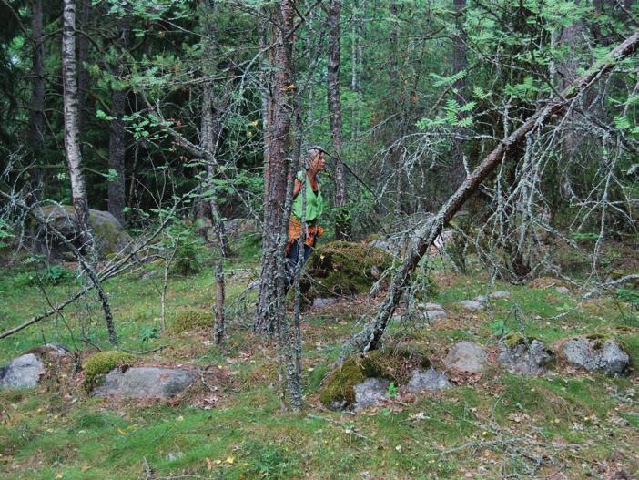 FORNTIDSVANDRING NÄRA STAN Plats 2: Årbyskogen PLATS 2 Årbyskogen I Eskilstuna kommun finns det ungefär 2 500 kända gravar och gravfält bevarade från järnåldern.