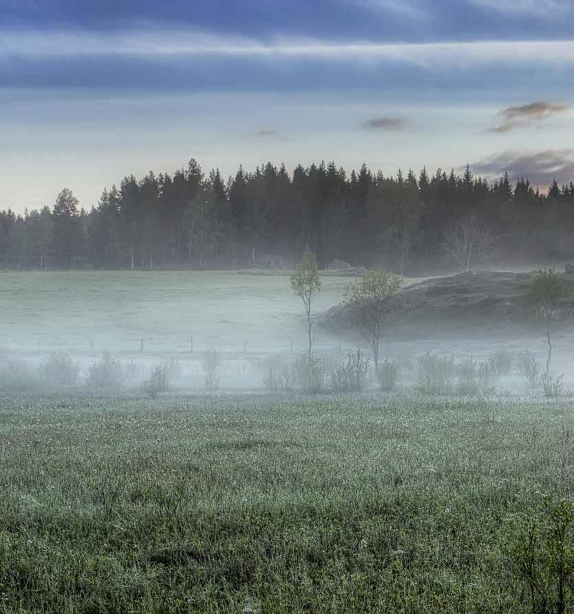 MADE IN SMÅLAND Går det verkligen att kombinera design och hantverkskunnande med egen tillverkning i Småland?