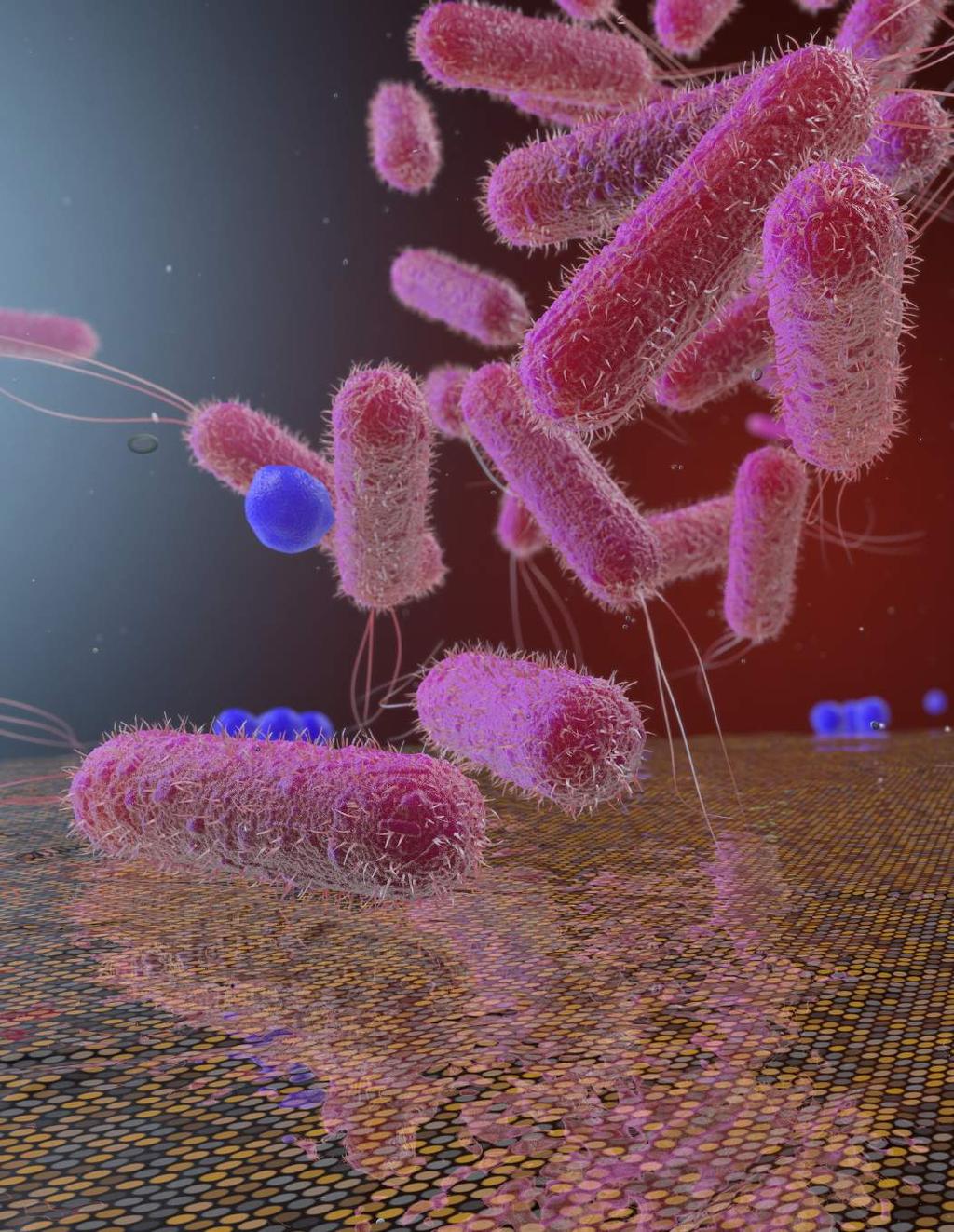 Coating for infection