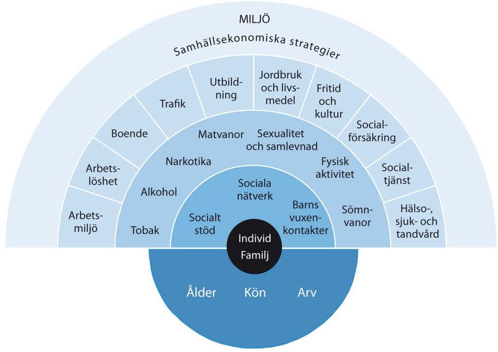 Figur 1. Faktorer som påverkar folkhälsan. Hämtad ur (Folkhälsomyndigheten, 2015b). Återskapad efter (Dahlgren & Whitehead, 1992).