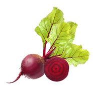 Så här sorterar du Här ser du olika slags avfall som kan uppstå i en verksamhet och exempel på vad de kan bestå av.