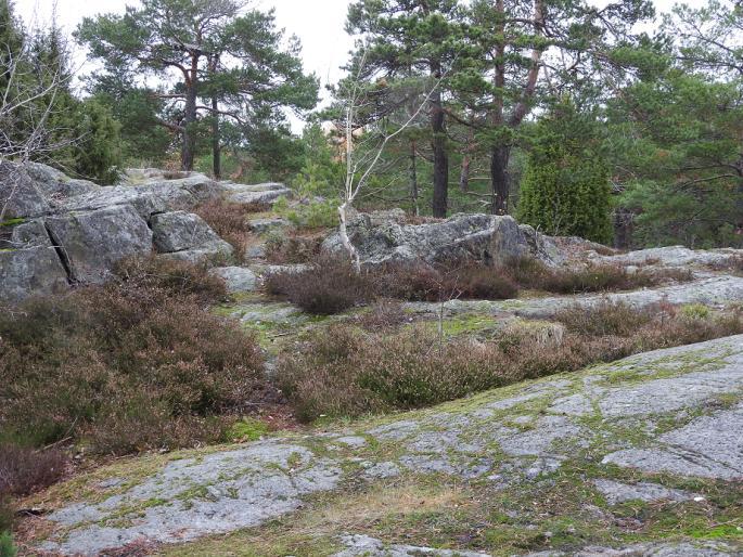 naturreservatet.