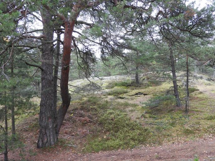 tillgängliggör Soliga ytor