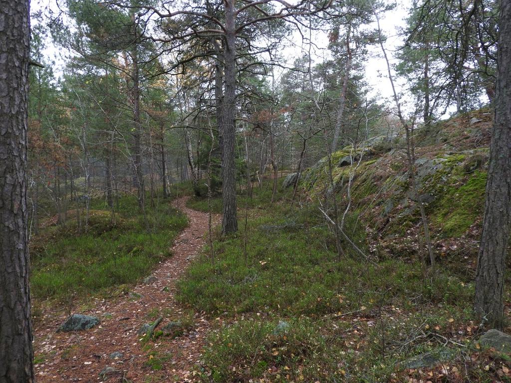 slingrande stigar, skärgårdsnatur