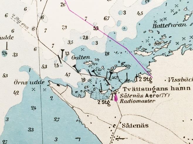 Prickarnas formspråk kan jämföras med kvastprickarna på fig. 14.