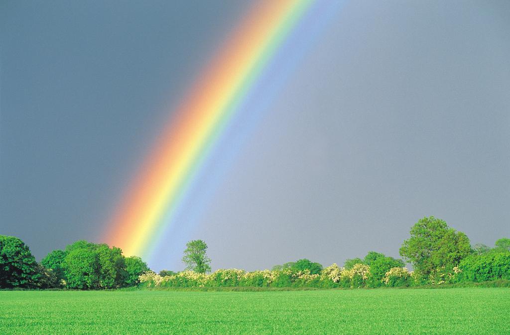 Regnbågen Varje gång man ser regnbågen blir man lika imponerad över de vackra färgerna på himlen. Men när och varför dyker regnbågen upp på himlen ibland?