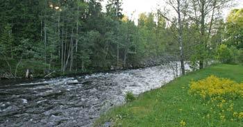 Fiskekortsförsäljare: Bengtsfors turistbyrå, telefon 0531-52 63 55, Optimistens Lanthandel telefon 0531-200 01, Silverlake Conoeing, Bengtsfors telefon 0531-106 40, 121 73, Gunnel Andrée, Vammerviken