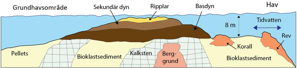 Varför är kol 14 inte användbart för dating prekambriska Rocks