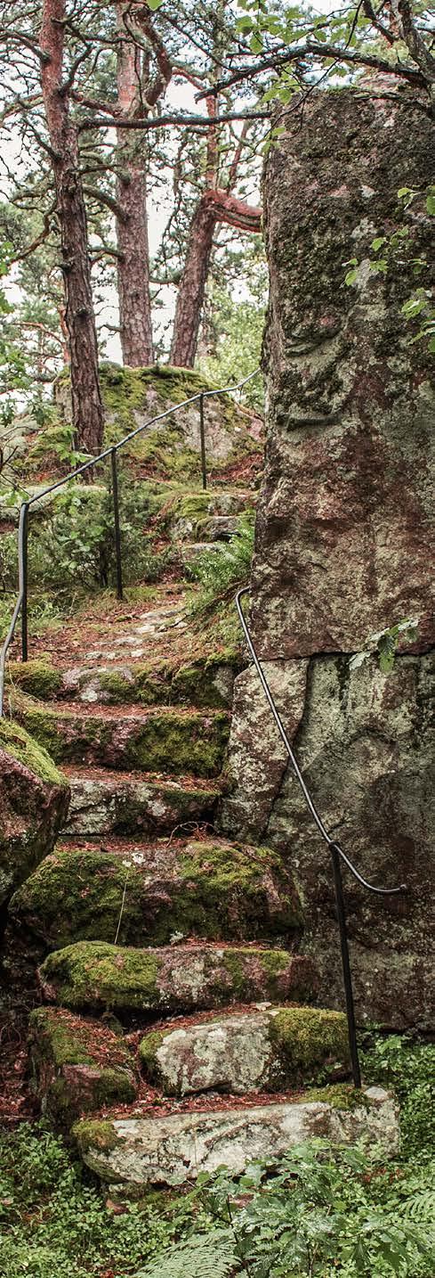 Vägar och stigar Foto: Marit Stigsdotter Stentrappan Trappan upp mot Lusthuset och den mycket speciella platsen där uppe. Trappan är delvis uthuggen direkt ur berget.