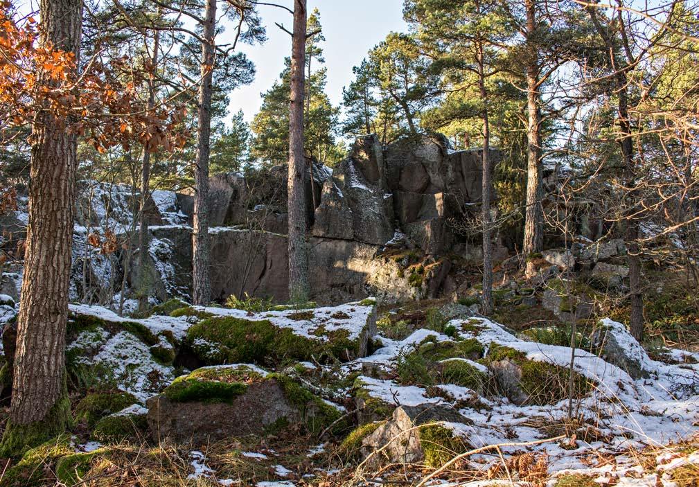 Stenbrott Foto: Marit Stigsdotter Rävberget Ett brott från 1870-talet. Rävberget är till skillnad från många andra brott inte vattenfyllt, men dramatiskt med sina höga bergväggar och stora block.