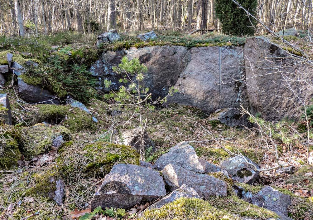 Stenbrott Foto: Agneta Anderson Provbrott På många platser i terrängen finns småbrott som detta som ligger utmed skogsvägen längs stranden.