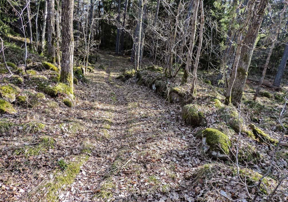 Engelska Parken Foto: Agneta Anderson Ridstigar En ridstig böljar mjukt fram genom Engelska Parken. Idag en vacker och populär promenadstig i det kulturhistoriska landskapet.