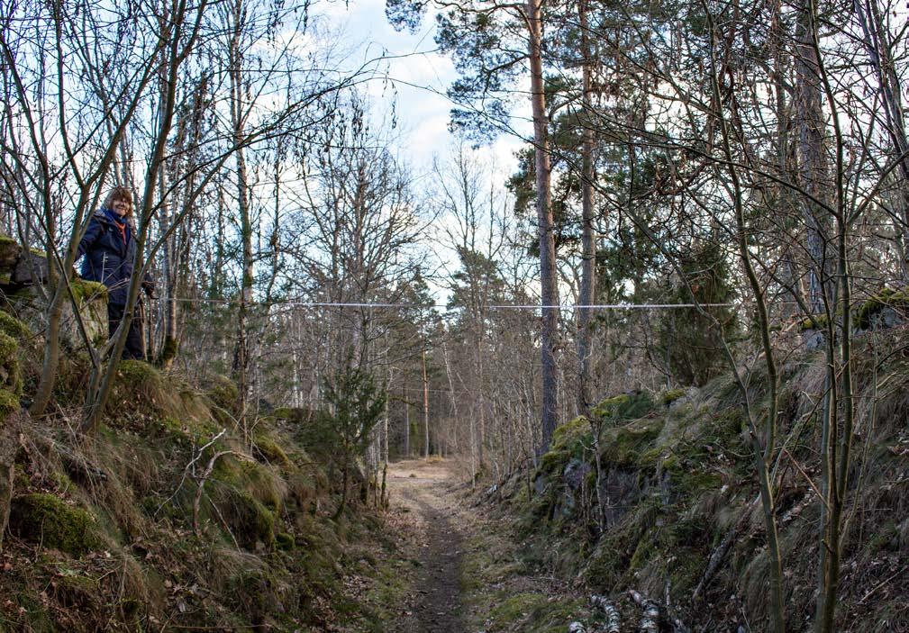Engelska Parken Foto: Marit Stigsdotter Valvbron Mellan Prästgården och Engelska Parken promenerade herrskapet i slutet av 1800-talet över rallvägen via en välvd träbro.