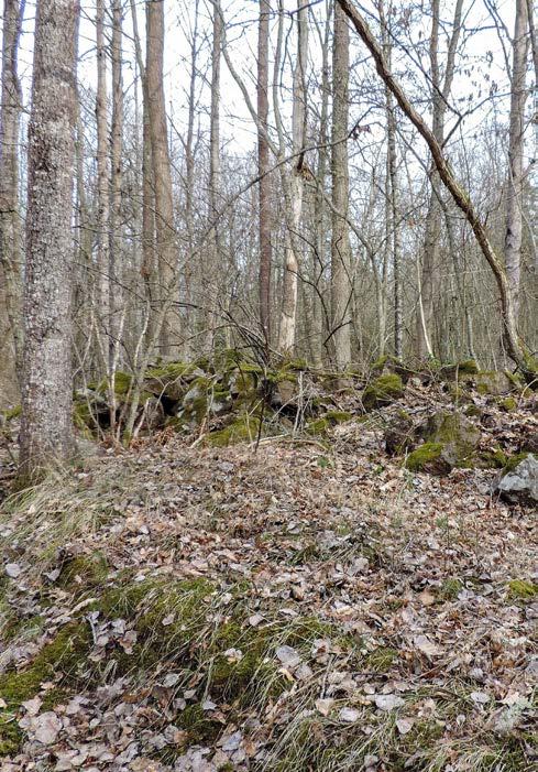 Övriga kulturminnen Foto: Agneta Anderson Foto: Marit Stigsdotter Dalen Tidigare öppen yta i skogen som sträcker sig mellan Kapten Thörnblads fruktodling