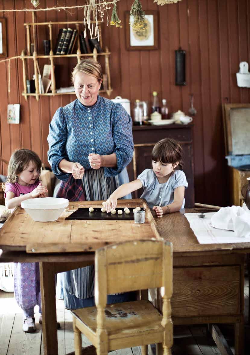 Stiftelsen Jamtli 2014