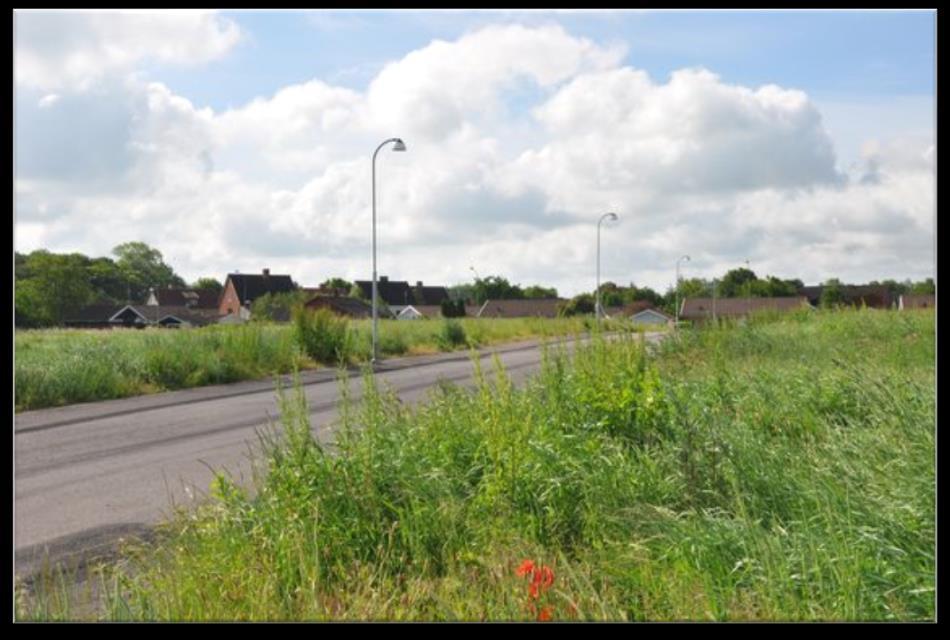 Vi kan bli fler i Sydöstra Skåne Men behöver en pålitlig infrastruktur När Skånes befolkning ökar, ökar