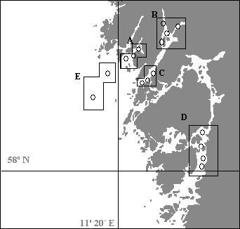 De kustnära fiskbeståndens utveckling och nuvarande status vid svenska västkusten b) Populationsdynamiken i mellersta Bohuslän under 1 Material och metoder Förekomst och storleksfördelning för torsk