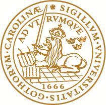 Substitutionsbehandling Statlig drog eller behandling?