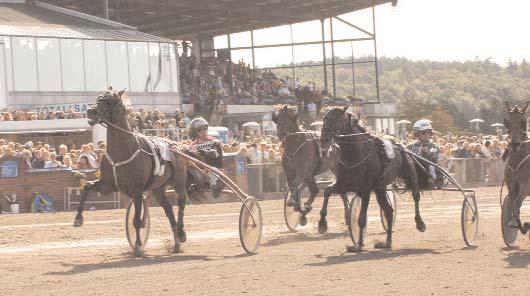 Bellman Töll 11,7 168 Ohlsson Ulf Noa Savoy* (FI) 11,9 431 Koivunen Harri Giant Superman 12,0 101 Larsson Fredrik B Gazza Degato d8g 75 Horpestad Tom Segrare: hingst 7 år e.