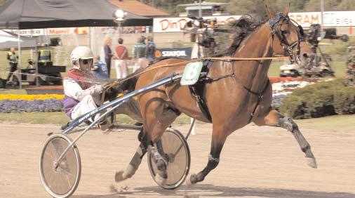 Digger Crown 11,9 67 Adielsson Erik Noa Savoy* (FI) 12,0 505 Koivunen Harri Giant Superman 12,0 61 Larsson Fredrik B Segrare: hingst 7 år e. Giant Chill-Countess Orion. Ägare: Stall Pirat.