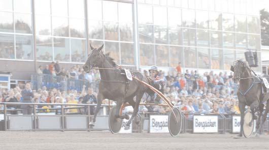 Citation* (US) 12,7 136 Adielsson Erik Gazza Degato 12,8 337 Horpestad Tom Giant Diablo 12,8 70 Kihlström Örjan Passionate Kemp* (FI) 12,9 88 Nieminen Markku Improve Ås 13,3 439 Locqueneux Dominiek