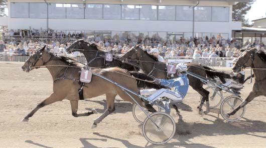 Odds: 43,68. Plats: 3,42-1,48-1,54. Sundsvall Open Trot (Gulddivisionen, försök 3) (Gr. I Int.) Bergsåker 26 augusti. Lätt bana. 1.750.000 kr. 2140 m.. 1 Giant Diablo 12,5 1.000.000 103 Kihlström Örjan 2 Digger Crown 12,6 400.