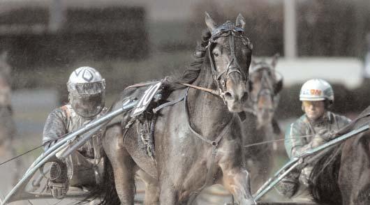 Adams Hall (US) 12,8 161 Svanstedt Åke Bellman Töll 13,0 349 Ohlsson Ulf Spring Ray 13,4 54 Uhrberg Thomas Crown Kemp 13,5 361 Bergh Robert Conny Nobell dug 18 Goop Björn Segrare: sto 6 år e.