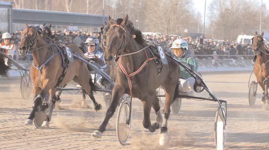 Plats: 1,18-1,51-1,82. Frances Bulwarks lopp (Gulddivisionen, Final) (Gr. II Int.) Solvalla 30 september. Lätt bana. 745.000 kr. 2140 m.. 1 Digger Crown 13,3 400.