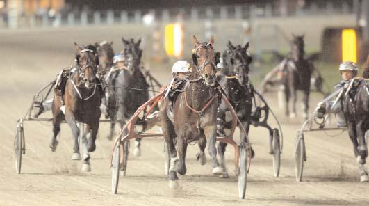 Colour August* 12,9 327 Kontio Jorma Hövding Lavec 13,0 307 Kolgjini Lutfi Galaxy Chip Om* (US) 13,1 738 Frick Jim Rado 13,8 347 Goop Björn Crown Kemp d10g 116 Bergh Robert Segrare: hingst 9 år e.
