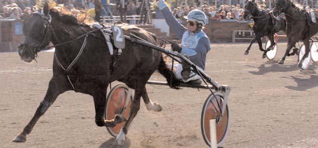 Mauzun (FR) 5 Lets Go (DE) 8 Malabar Circle Ås (SE) 5 Red Chili Pirat (SE) 5 Smashing Victory (SE) 5 Thai Tanic (NO) 5 Express Road (IT) 5 Ergon Jet (IT) 3 Gigant Neo (SE) 3 Jetstile (NO) 3 Justice