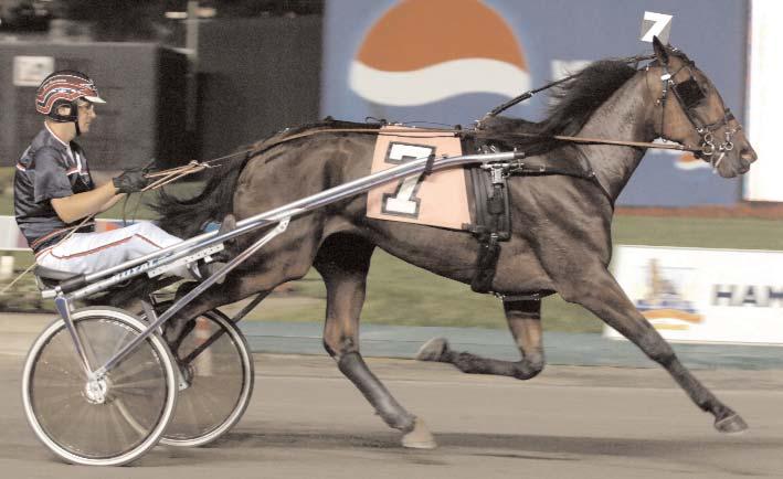 000 Milton Zet e. Pine Chip 1 530.197 Walsh Boko e. Malabar Circle Ås 2 364.000 Primary Ås e. Malabar Man 1 327.780 Hobgoblin Face e. Pine Chip 2 314.000 Vånga Torsten e. Malabar Circle Ås 4 247.