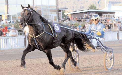 Vinstrikaste kallblod Vinstrikaste 3-åringar Eldfaksen - vann under året bland annat Mittlinjens final.