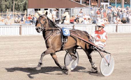 Elding 2 116.500 Karlängs Linus e. Bol Elden 1 114.000 Inter (NO) e. Lykke Gutten 1 113.562 Frö Ivar e. Fröyding 2 110.000 Silkefaks (NO) e. Järvsöfaks 2 92.281 Pokalen e. Polar Svarten 2 79.