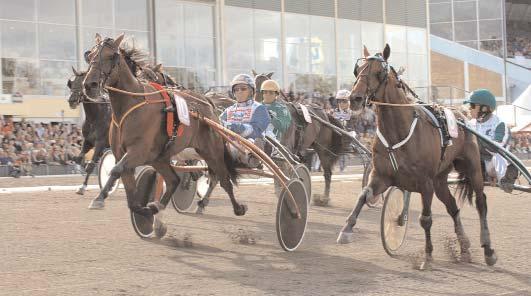 Insatslopp 4-åringar KRAFFT Svenskt Travderby 2006 (Gr. I Nat.) Jägersro 3 september. Lätt bana. 3.200.000 kr. 2640 m.. 1 Colombian Necktie 14,7 1.600.000 219 Uhrberg Thomas 2 Jocose 14,7 800.