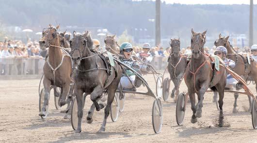 Segrare: valack 4 år e. Alf Palema-Tamburina. Ägare: HB A One Stables & HB Ws. Parmalee. Uppfödare: HB A One Stables, Sundbyberg. Tränare: Walmann Roger, Stallarholmen. Totalisatoromsättning: 2.156.