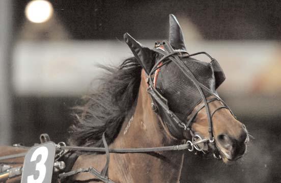 Snabbaste varmblod Snabbaste 2-åriga hingstar & valacker Magic Space - denna kategoris snabbaste vinnare av ett voltstartslopp med tiden *1.16,6. Svenskfödda Carmel S 15/9 1640 1.