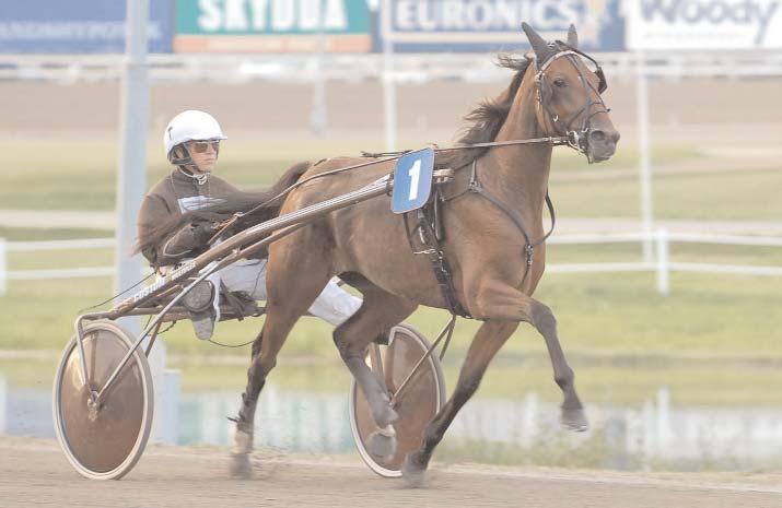 Snabbaste varmblod Snabbaste 2-åriga ston Helene Tilly - snabbaste 2-åriga sto i ett voltstartslopp 2006 tack vare km-tiden *1.15,1. Svenskfödda Helene Tilly S 6/12 1660 *1.