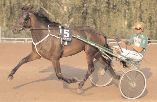 Snabbaste varmblod Snabbaste 3-åriga ston Tigger - travade *1.12,4a och var snabbaste av de svenskfödda 3-åriga stona 2006. Svenskfödda Even Southwind J 26/12 1640 1.15,1 Piraja G. F 25/12 1640 1.
