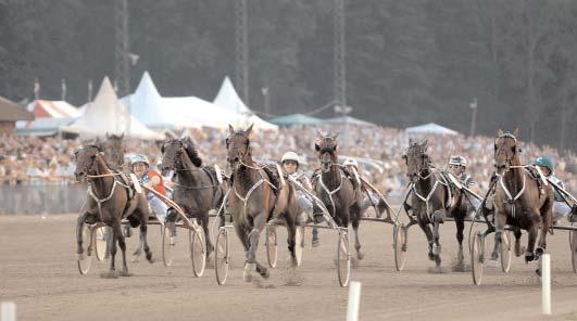 Insatslopp 4-åringar Breeders Crown - 4-åriga h&v, Final (Gr. I Nat.) Färjestad 4 november. Lätt bana. 1.000.000 kr. 2140 m.. 1 D.J.Seabrook 14,3 500.000 86 Bergh Robert 2 Euro Staro Crown 14,4 250.