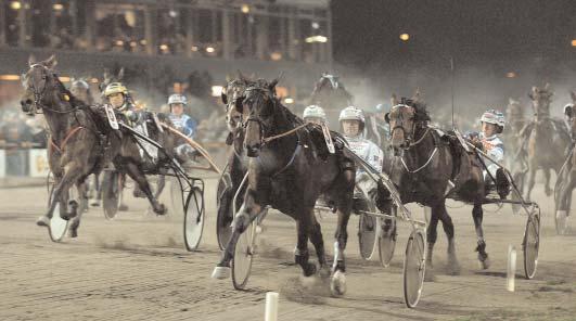 Plats: 3,05-3,72-8,02. Breeders Crown - 4-åriga ston, Final (Gr. I Nat.) Färjestad 4 november. Lätt bana. 1.000.000 kr. 2140 m.. 1 Ausa T.Y.C. 14,4 500.000 112 Uhrberg Thomas 2 Alltid V.G. 14,4 250.