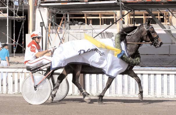 Snabbaste kallblod Snabbaste 3-åriga ston Solivra - var snabbaste svenskfödda 3-åriga sto med tiderna 1.30,2 och *1.30,1a. Svenskfödda Solivra B 1/6 2180 1.30,2 Vixie B 7/9 1680 1.